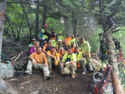 A group of forest workers in safety gear posing for a photo amidst foliage with equipment scattered around them.