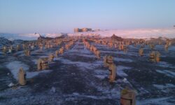 Rows of yellow thermal covers, typically used to protect construction foundations, are arranged on a frozen ground with buildings in the distance under a twilight sky.