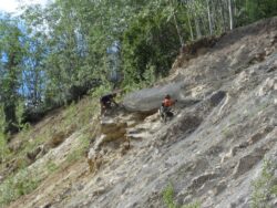 Two workers installing wire mesh on a steep slope for erosion control or rockfall mitigation in a wooded area.