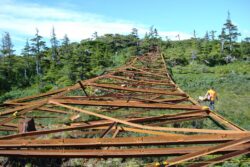 A person wearing a high-visibility vest is inspecting a collapsed rusted metal structure amidst a forested area on a clear day.