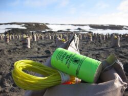 A spool of yellow rope and an open bag of organic planting material rest on a sandy surface with rows of small, potted plants in the background near the ocean.